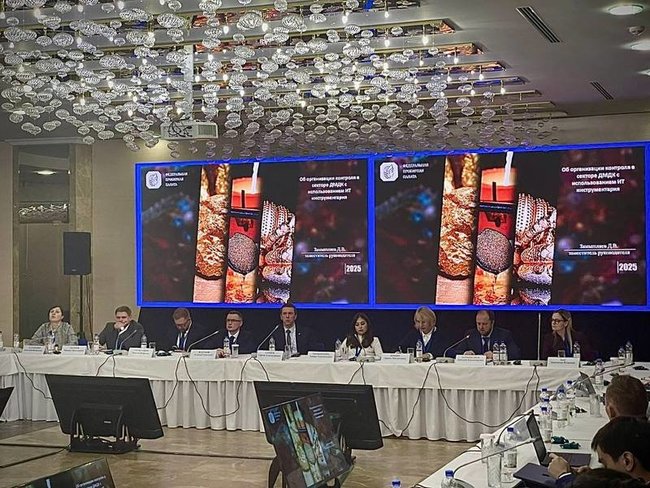 Заместитель руководителя ФПП Дмитрий Замышляев представил работу ГИИС ДМДК на семинаре для надзорных органов и частного сектора